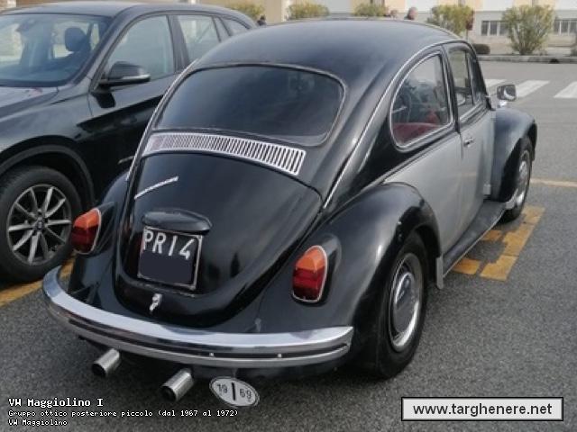 maggiolinofrabo20250211.jpg