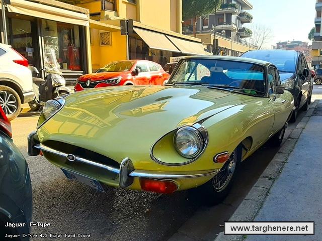 jaguaretypeberto20250307.jpg