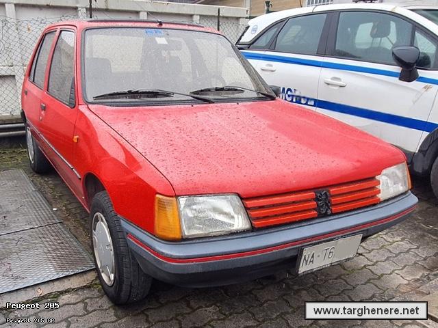peugeot205fioccoscoiattolo20250318.jpg