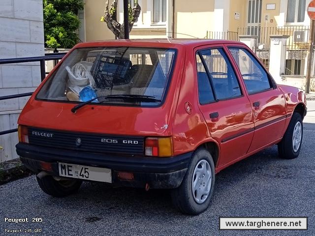 peugeot205kanonx20250405.jpg