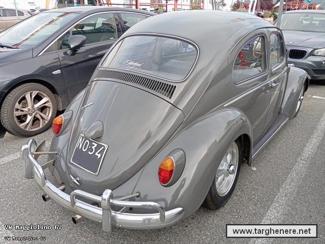 maggiolinoalfa3320250428.jpg