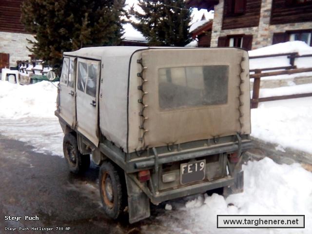 steyrpuchhaflingerfabio20020250501.jpg