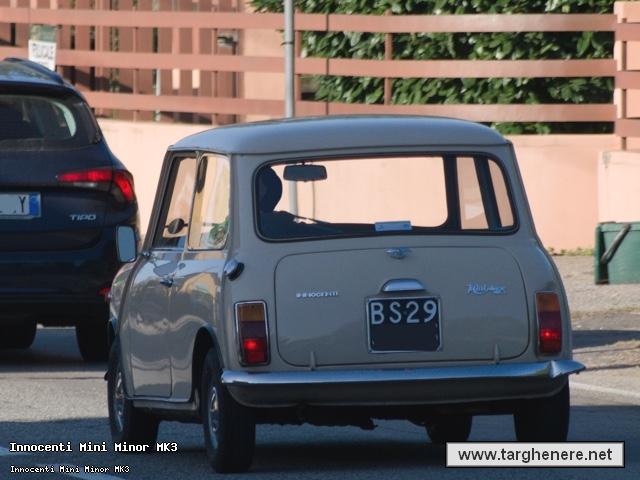 minisilverfox20250511.jpg