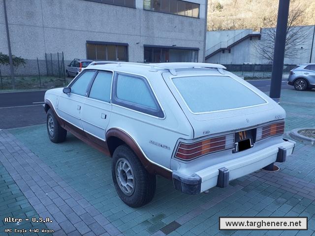 amceagledanip20250602.jpg