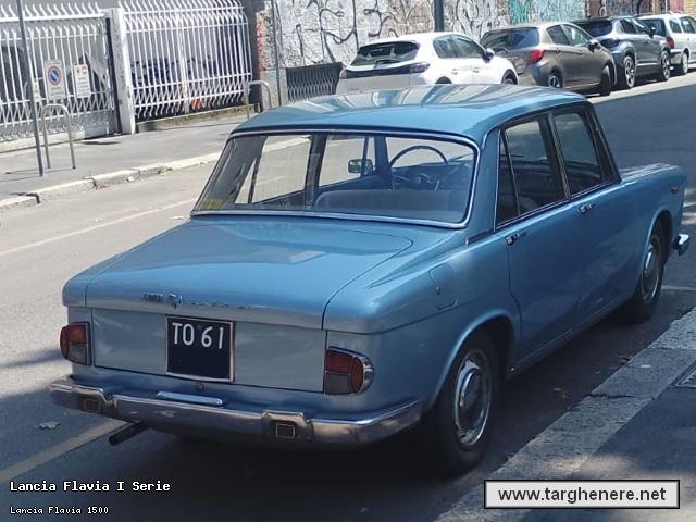 lanciaflaviaspinterogeno20250625.jpg