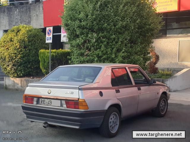 alfa75luka9620250627.jpg