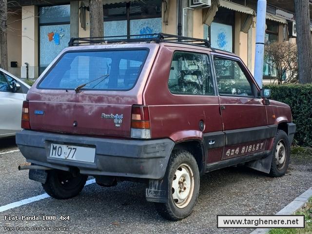 fiatpanda4x4targhemodenesi20250629.jpg