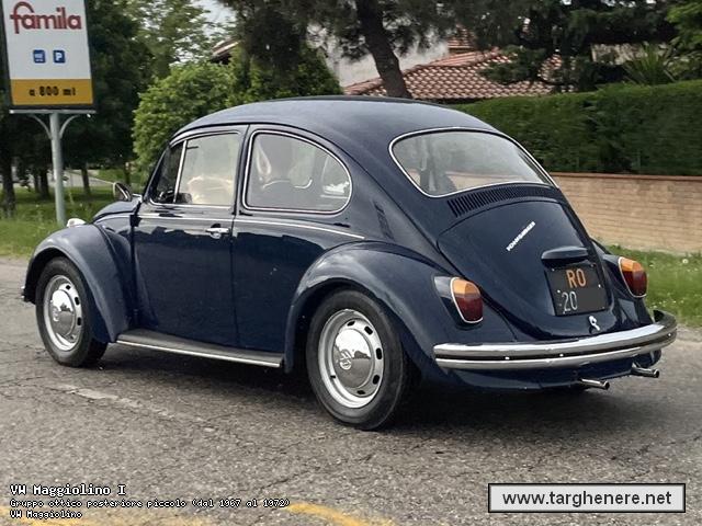 maggiolinofrabo20250714.jpg