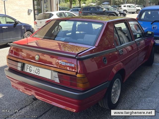 alfa75frabo20250716.jpg