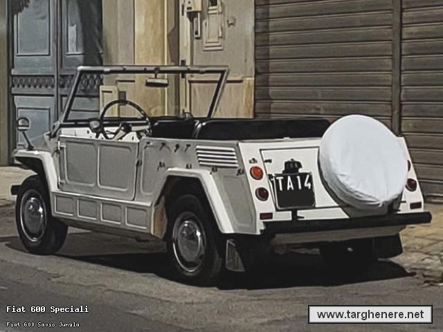 fiatsaviojunglaluzzo20250731.jpg