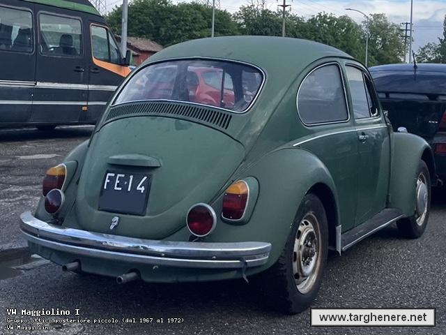 maggiolinofrabo20250803.jpg
