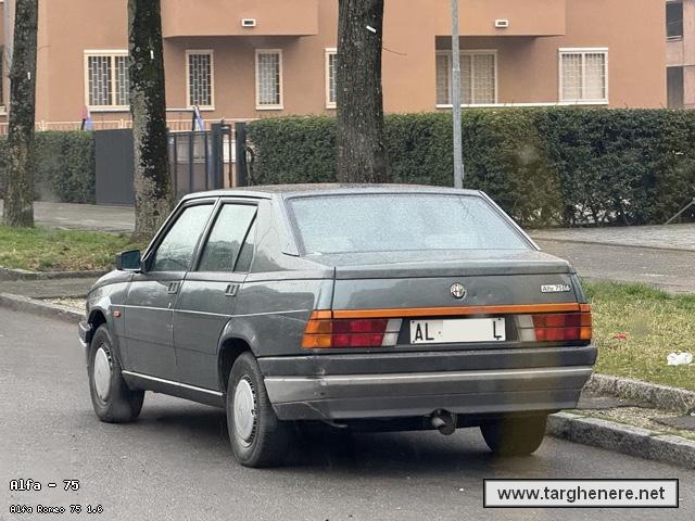 alfa75super20720250815.jpg