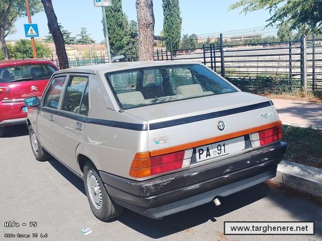 alfa751600gt20250826.jpg