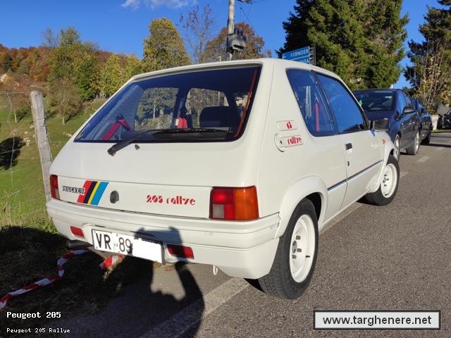 peugeot205rallyedeltago20250831.jpg