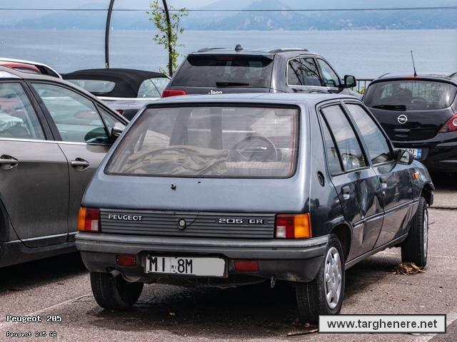 peugeot205silverfox20250908.jpg