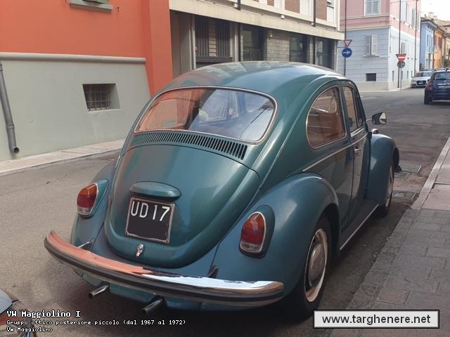 maggiolinoluka9620250914.jpg