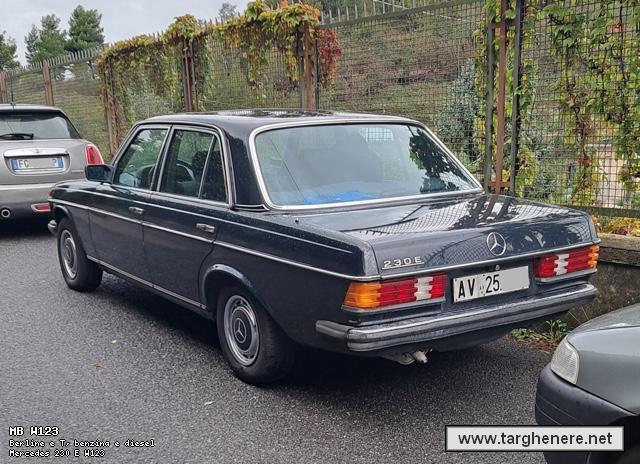 mercedesw123argiuliasuper20251008.jpg