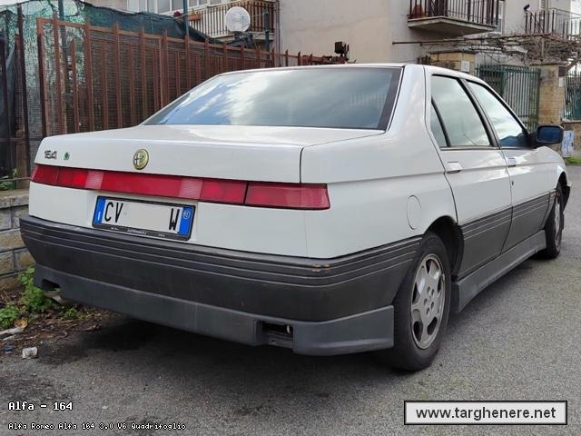 alfa164giovannispalla20251011.jpg