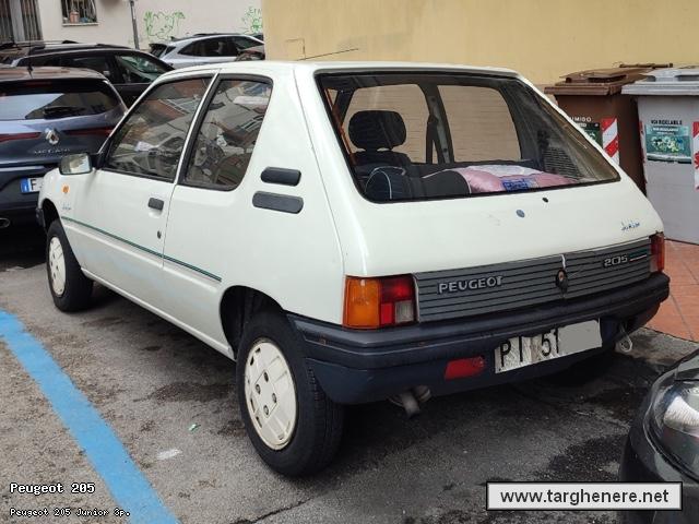 peugeot205captain20251017.jpg