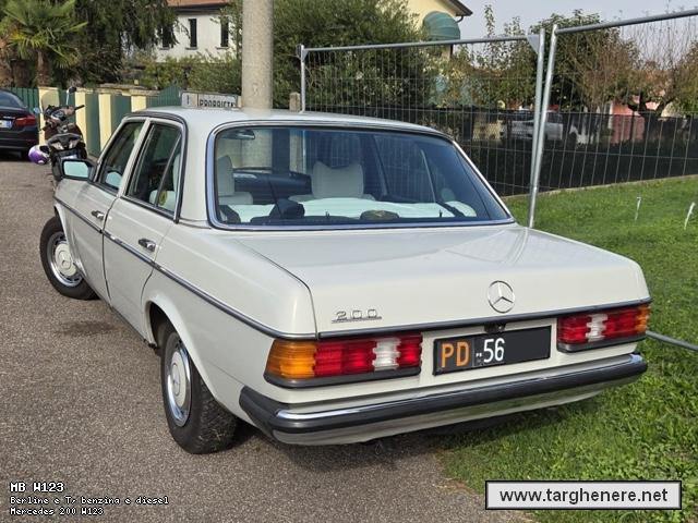 mercedesw123famvit20251017.jpg