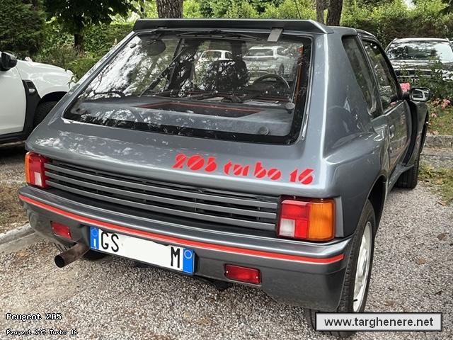 peugeot205turbo16frabo20251022.jpg