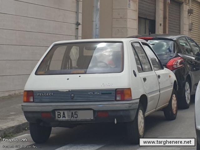 peugeot205luka9620251109.jpg