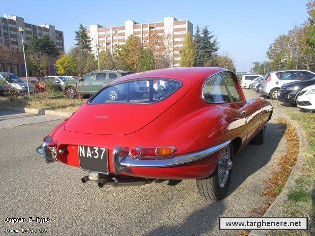 jaguaretypebob20251111.jpg