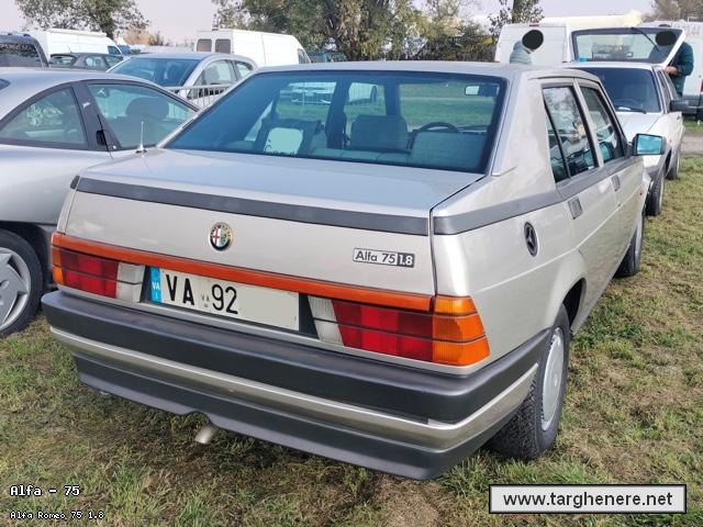 alfa75fantonx20251112.jpg