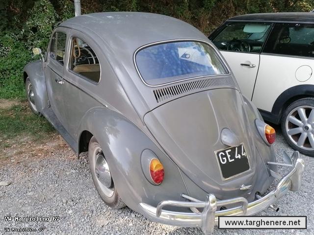 maggiolinofrabo20251113.jpg