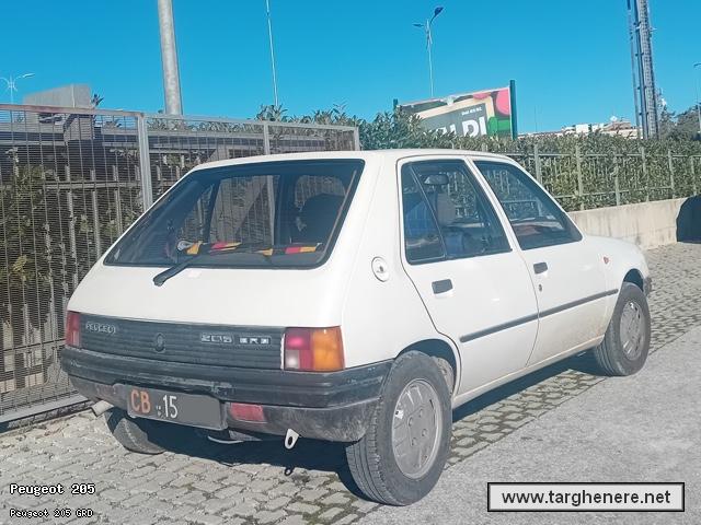 peugeot205tonymura20260102.jpg