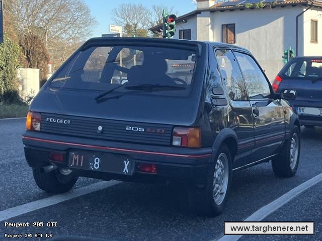 peugeot205gtifrabo20260103.jpg