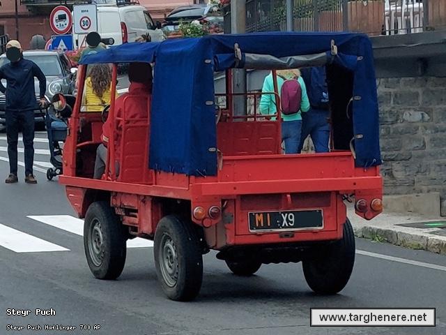 steyrpuchhaflingerbiohazard20260129.jpg