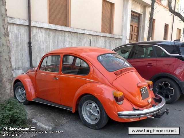 maggiolinopolar20260328.jpg