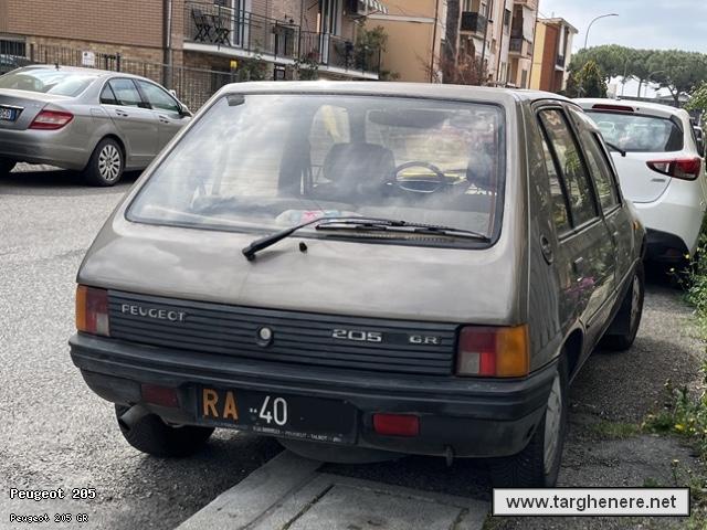 peugeot205frabo20260401.jpg