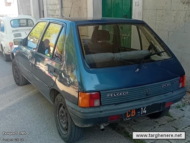 peugeot205tonymura20260407.jpg