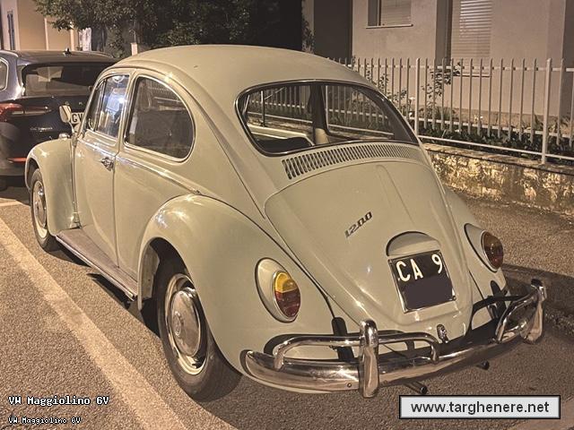 maggiolinofrabo20260503.jpg