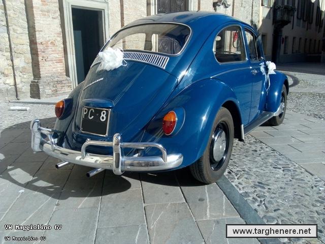 maggiolinor237020260519.jpg