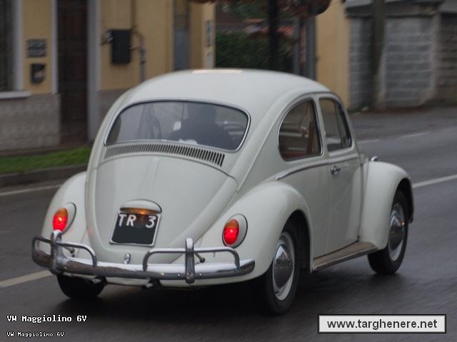 maggiolinosilverfox20260618.jpg