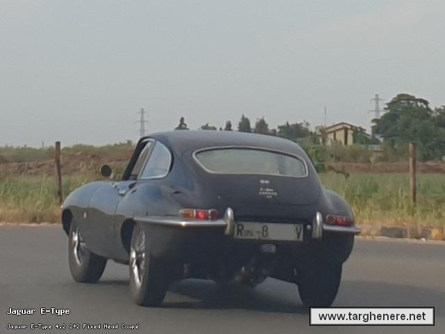 jaguaretypeluka9620260624.jpg