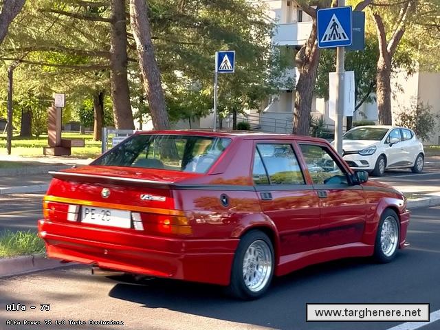 alfa75evoluzionepolar20260725.jpg