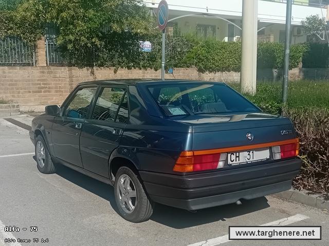 alfa75tonymura20260731.jpg