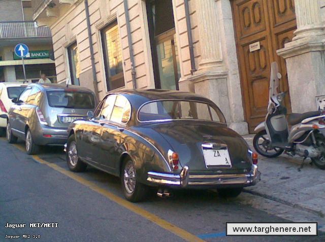 jaguarzapeppe.jpg