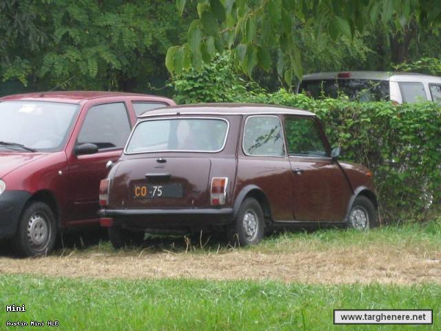 minihleatabusto.jpg