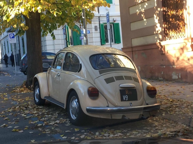www.targhenere.net/gallery2/wp-content/uploads/2017/12/vw_maggiolinomex_gen79_etilico_tn37717.jpg