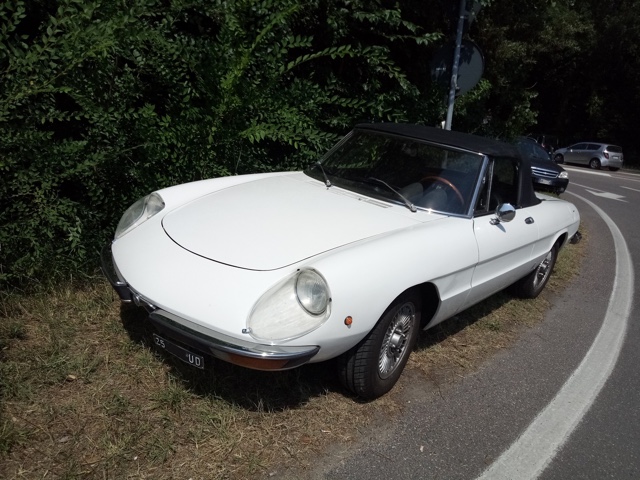 www.targhenere.net/gallery2/wp-content/uploads/2018/07/alfa_romeo_spider_-_ud_25_fronte_oinotna_tn522.jpg