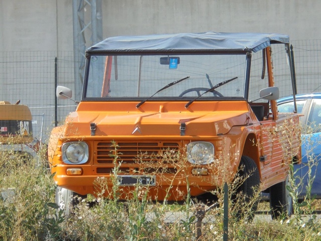 www.targhenere.net/gallery2/wp-content/uploads/2018/10/img-20170722-wa0078.jpg