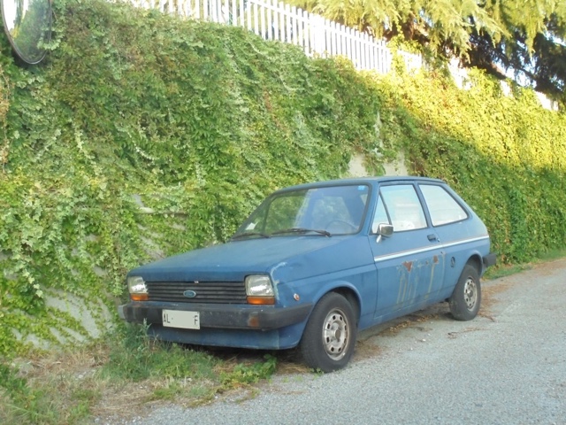 www.targhenere.net/gallery2/wp-content/uploads/2018/10/img-20170820-wa0067.jpg