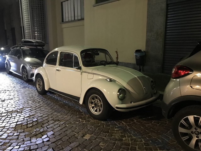 www.targhenere.net/gallery2/wp-content/uploads/2019/02/ant.jpg