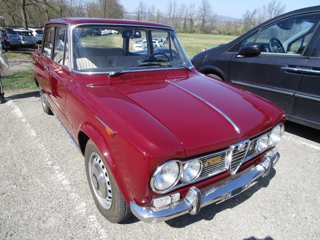 www.targhenere.net/gallery2/wp-content/uploads/2019/03/argiussa_bob_tn25211.jpg