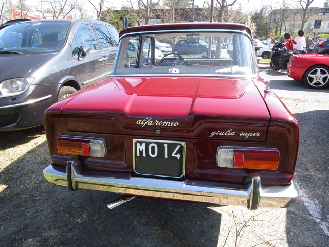 www.targhenere.net/gallery2/wp-content/uploads/2019/03/argiussp_bob_tn25211.jpg